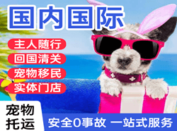 美兰航空物流国际宠物托运 【国